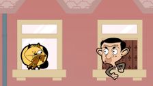 S2 E33: Where Did You Get That Cat?