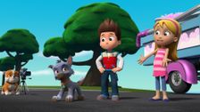 S8 E23: Pups Save the Floating Goodways; Pups Save the Portable Pet Wash