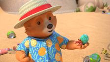 Paddington's Beach Clean Up
