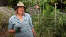 S36 E37: Australia's Great Gardens