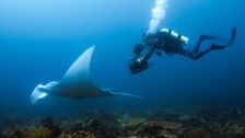 S1 E5: Devil Ray Islands
