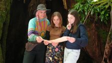 S3 E39: Tree Hugger