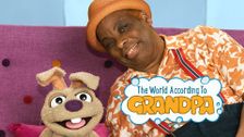 The World According To Grandpa