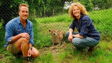 S21 E8: Animal Park