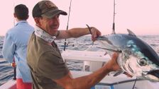 S2 E1: Hervey Bay Hunting