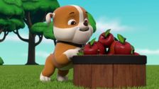 S8 E17: Pups Save a Box Fort; Pups Save Travelin' Travis From Really Big Bill
