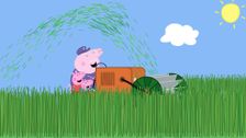 S2 E27: The Long Grass