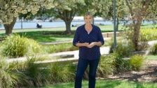 S32 E14: Better Homes and Gardens