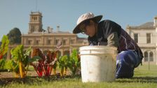 S35 E36: Gardening Australia