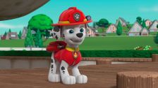 S8 E24: Pups Save a Lonesome Walrus; Pups Save the Hummy Gummies
