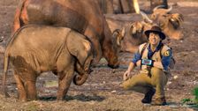 S1 E5: Andy and the Forest Elephants