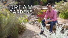 Dream Gardens
