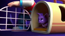 S1 E21: Pups Save a Bat; Pups Save a Toof
