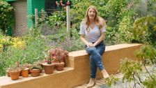 S30 E1: Better Homes and Gardens