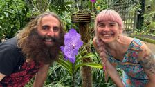 S2026 E19: What Makes a `Great Garden'?