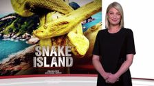 S41 E8: Snake Island, Growing Pains, the Tall Guy