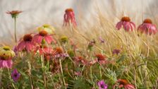 S37 E3: Summer: Arid Botanic Garden & Home Orchard