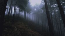 S6 E8: The Rendlesham Forest Incident