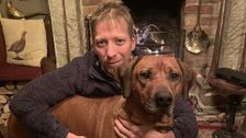 S16 E7: The Yorkshire Vet