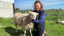 S14 E4: The Yorkshire Vet