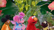 S55 E23: Garden Explorers