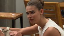 S39 E217: The Bold and the Beautiful
