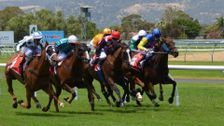 Australian Racing Year