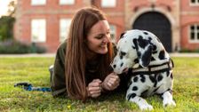 S1 E2: The Dog Academy