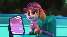 S8 E7: Pups Save the Hiding Elephants; Pups Save a Yodeler