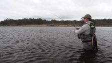 S11 E10: On the Fly