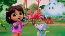 Rainforest Ritmo; The Magic Nut