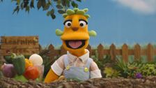 S1 E32: Vegetables!
