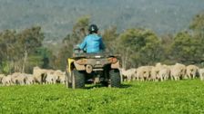 S1 E4: Hobart And Evandale Tasmania