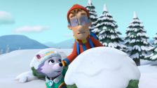 S6 E19: Pups Save a White Wolf; Pups Save a Wrong-Way Explorer