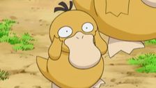 S11 E35: The Psyduck Stops Here