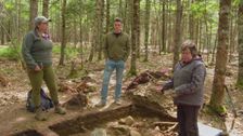 S11 E4: Shear Mystery