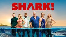 Shark!
