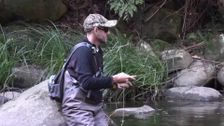 S10 E6: On the Fly