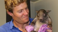 S3 E7: Bondi Vet