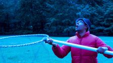 S1 E20: You Try to Catch a Falling Star?