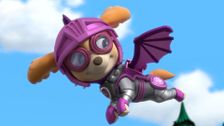 S8 E19: Rescue Knights: Pups Save a Tournament; Rescue Knights: Pups Save the Baby Dragons