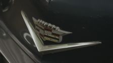 S25 E2: Car-Tastic Picks
