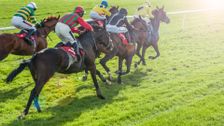 Black Caviar - Horse of a Lifetime
