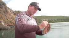 S1 E12: Step Outside with Paul Burt
