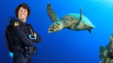 S1 E1: Andy and the Green Sea Turtles