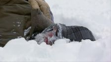 S2 E10: Thin Ice
