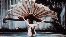 S1 E1: Act 1 1962 - 1979