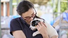 S1 E3: For the Love of Pets