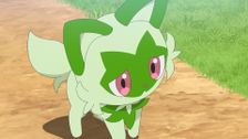 S1 E40: Farewell, Sprigatito?