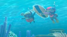 S1 E17: Stay Calm and Snorkel